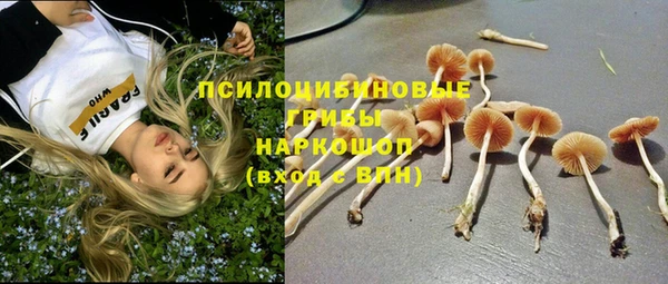 спайс Алексин