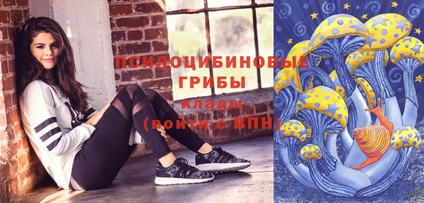 а пвп мука Алзамай