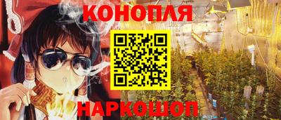 гашик Ярославль