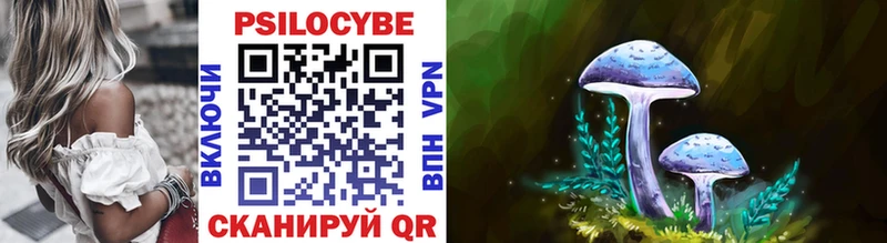 Галлюциногенные грибы Psilocybe  купить  цена  Пермь 