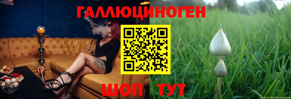 Псилоцибиновые грибы Psilocybine cubensis  купить   Пермь  Вход с VPN 